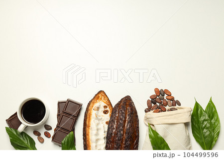 Concept of fresh and aromatic food - cacao beans Concept of fresh and aromatic food - cacao beans 104499596