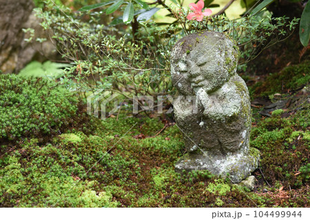 三千院 わらべ地蔵 三千院 わらべ地蔵 104499944