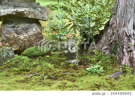 三千院　わらべ地蔵 104499945