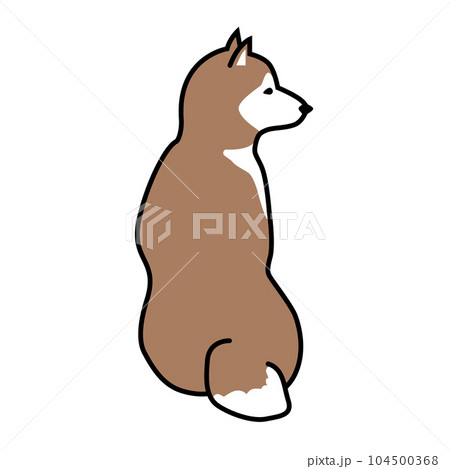 横向きの芝犬のイラスト素材 [104500368] - PIXTA