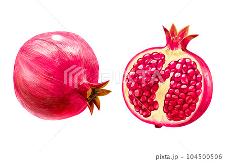 手描きフルーツ イラスト 柘榴(ざくろ、ザクロ) 半分 種あり 2点セット