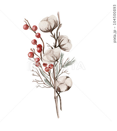 Cotton branches and red berries composition . Hand drawn illustration . Perfect for scrapbooking, kids design, wedding invitation, posters, greetings cards, party decoration. 104500893