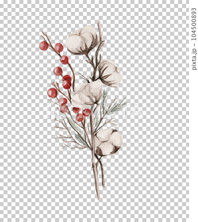 Cotton branches and red berries composition . Hand drawn illustration . Perfect for scrapbooking, kids design, wedding invitation, posters, greetings cards, party decoration. Cotton branches and red berries composition . Hand drawn illustration . Perfect for scrapbooking, kids design, wedding invitation, posters, greetings cards, party decoration. 104500893