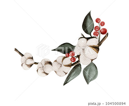 Cotton branches and red berries composition . Hand drawn illustration . Perfect for scrapbooking, kids design, wedding invitation, posters, greetings cards, party decoration. 104500894
