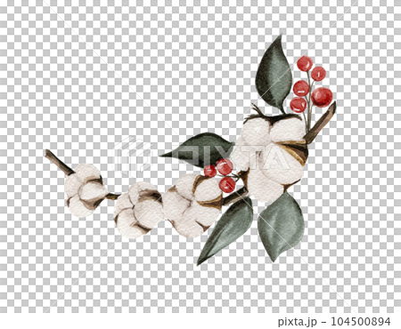 Cotton branches and red berries composition . Hand drawn illustration . Perfect for scrapbooking, kids design, wedding invitation, posters, greetings cards, party decoration. 104500894