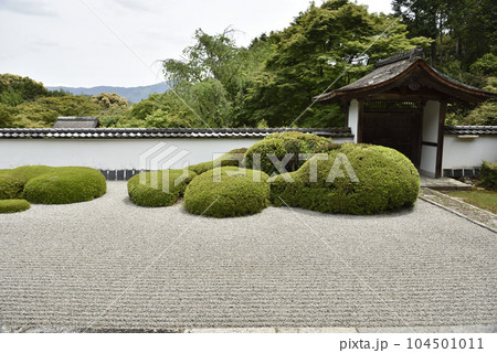 正伝寺 獅子の児渡し庭園 正伝寺 獅子の児渡し庭園 104501011