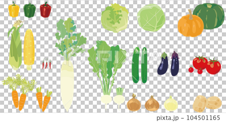 Illustration set of vegetables Illustration set of vegetables 104501165