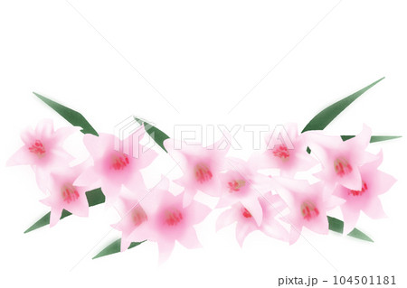 笹百合の花のカード2 104501181