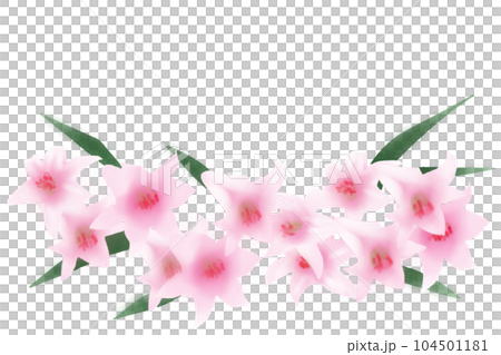 笹百合の花のカード2 104501181