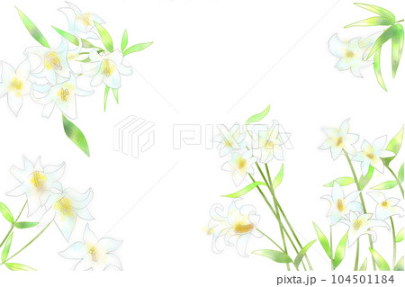 笹百合の花のカード5 104501184