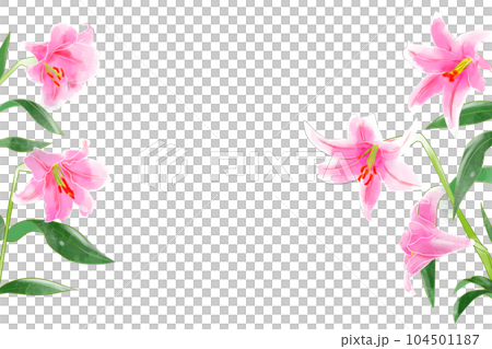 Bamboo lily flower card 8 104501187