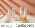 The skincare packaging set include jar, dropper bottle, and tube on sun shade background. 104501909