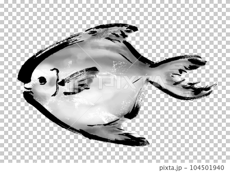 鯧魚手繪日式插畫日式素材 鯧魚手繪日式插畫日式素材 104501940