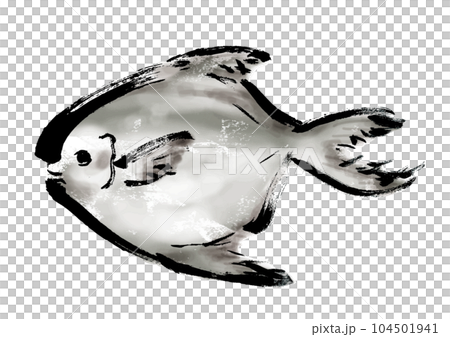 鯧魚手繪日式插畫日式素材 104501941