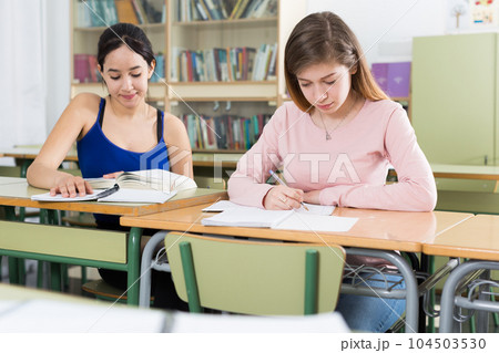 Smiling schoolgirls are learning at the desk 104503530