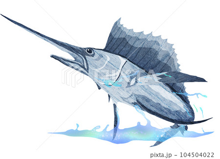 水面を跳ねるバショウカジキのイラスト 104504022