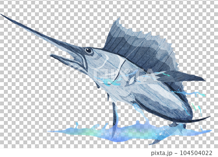 水面を跳ねるバショウカジキのイラスト 104504022