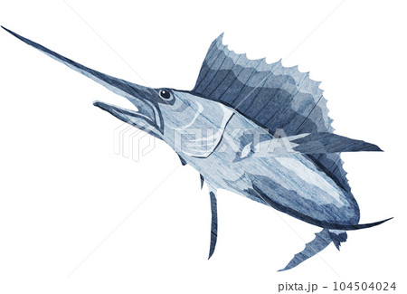 バショウカジキのイラスト 104504024
