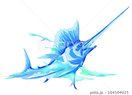 水面を飛び跳ねるバショウカジキのイラスト 水面を飛び跳ねるバショウカジキのイラスト 104504025