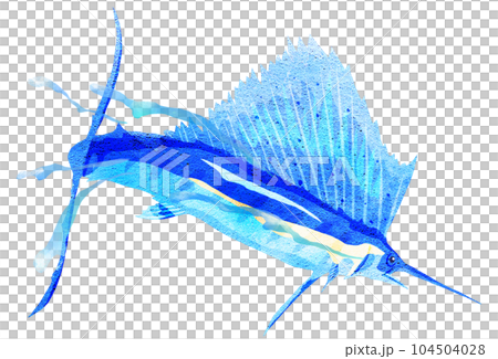 ジャンプするバショウカジキのイラスト ジャンプするバショウカジキのイラスト 104504028