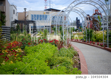 宮前公園と尾久図書館 104504304