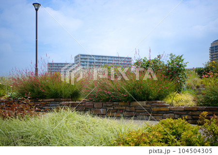 宮前公園と青空 104504305