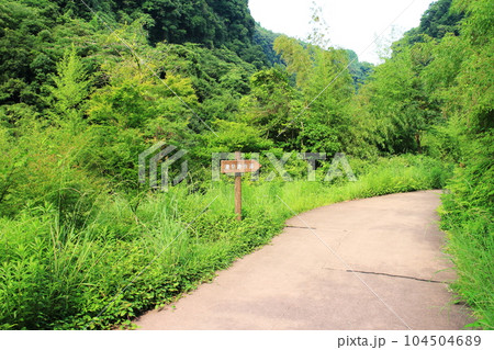 瀧見遊歩道の風景 104504689