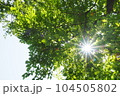 オーガニック素材 104505802