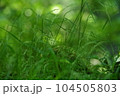 オーガニック素材 104505803