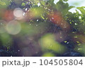 オーガニック素材 104505804