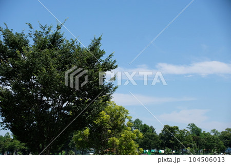 2023年 埼玉県 しらこばと水上公園 2023年 埼玉県 しらこばと水上公園 104506013
