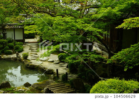 青もみじが映える初夏の西明寺 (滋賀県犬上郡甲良町, 2022年5月) 青もみじが映える初夏の西明寺 (滋賀県犬上郡甲良町, 2022年5月) 104506629