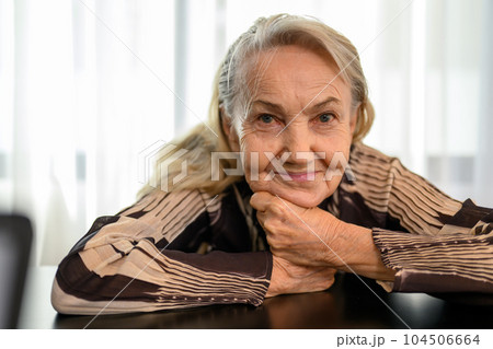 Smiling portrait of healthy senior woman smiling and sitting at home 104506664
