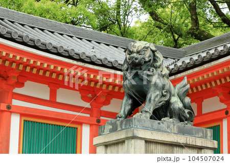 京都　国宝八坂神社（西楼門）狛犬 104507024