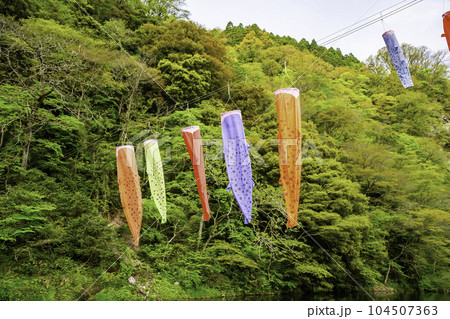湯原温泉 はんざきのぼり 岡山県真庭市 湯原温泉 はんざきのぼり 岡山県真庭市 104507363