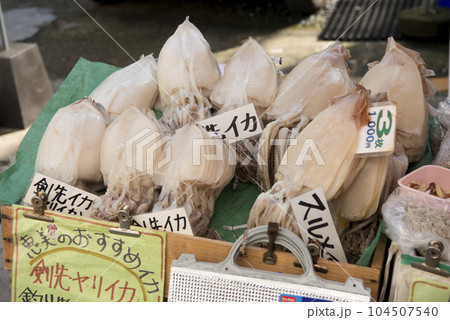 イカの一夜干し(呼子朝市) イカの一夜干し(呼子朝市) 104507540