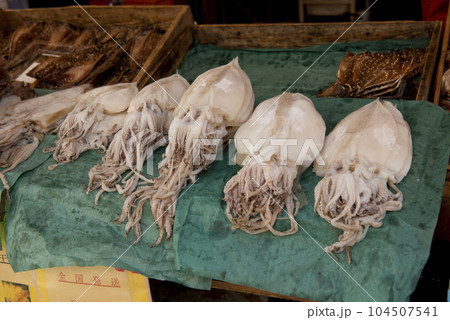 イカの一夜干し(呼子朝市) イカの一夜干し(呼子朝市) 104507541