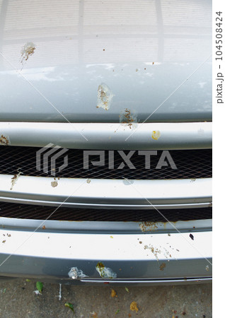 けっこう危険なカラスの糞害 104508424