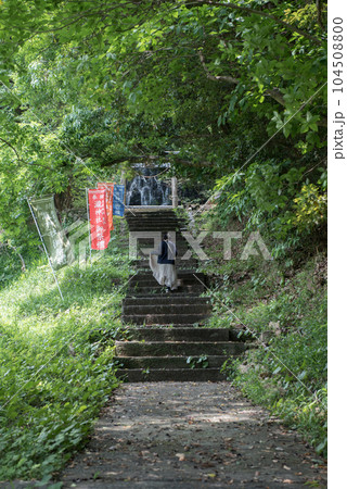 宮崎県児湯郡都農町にある瀧神社(都農神社境外末社・奥宮)の参道 宮崎県児湯郡都農町にある瀧神社(都農神社境外末社・奥宮)の参道 104508800