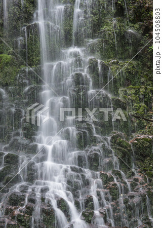宮崎県児湯郡都農町にある瀧神社(都農神社境外末社・奥宮)の不動滝 宮崎県児湯郡都農町にある瀧神社(都農神社境外末社・奥宮)の不動滝 104508803