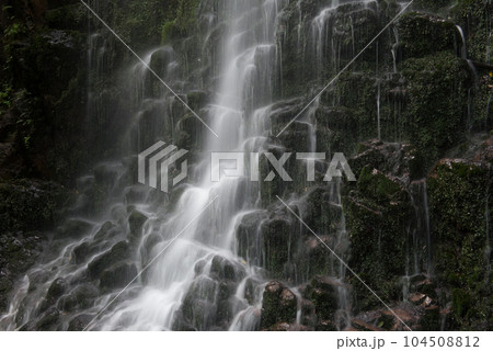 宮崎県児湯郡都農町にある瀧神社(都農神社境外末社・奥宮)の不動滝 104508812