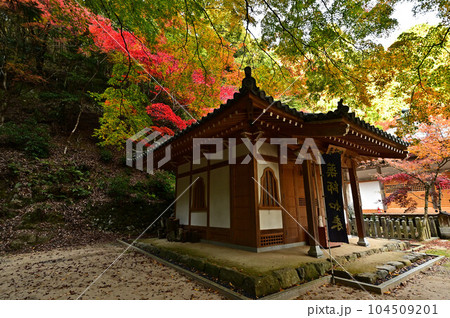 荘厳寺の紅葉 104509201