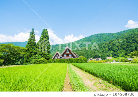 夏の白川郷 夏の白川郷 104509730