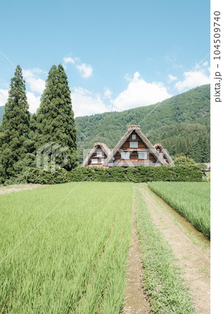 夏の白川郷 夏の白川郷 104509740