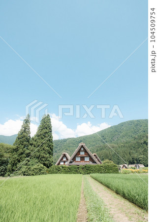 夏の白川郷 104509754