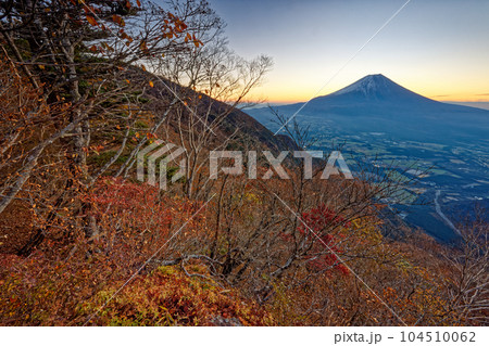 紅葉の朝霧高原・毛無山稜線から見る夜明けの富士山 104510062