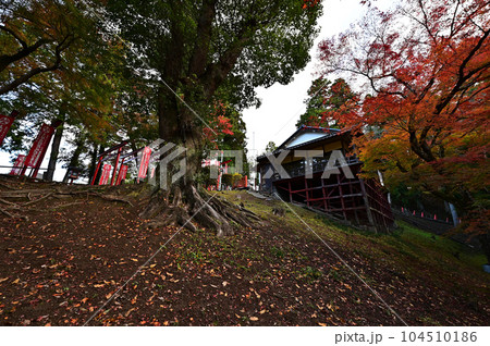 王地山まけきらい稲荷の紅葉 104510186