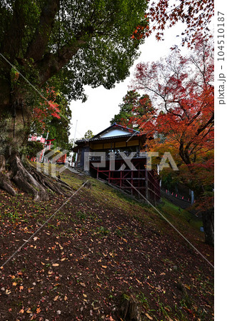 王地山まけきらい稲荷の紅葉 王地山まけきらい稲荷の紅葉 104510187