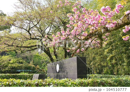 石清水八幡宮 104510777