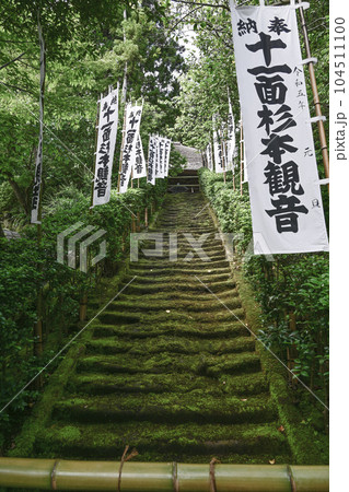 杉本寺（鎌倉）苔生した階段 104511100